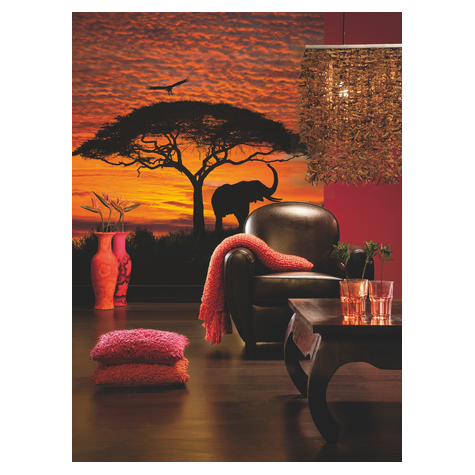 Χαρτί φωτογραφία ταπετσαρία - Αφρικανικό ηλιοβασίλεμα - Μέγεθος 194 x 270 cm
