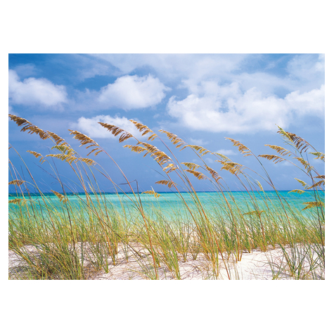 Χαρτί φωτογραφία ταπετσαρία - Ocean Breeze - Μέγεθος 368 x 254 cm