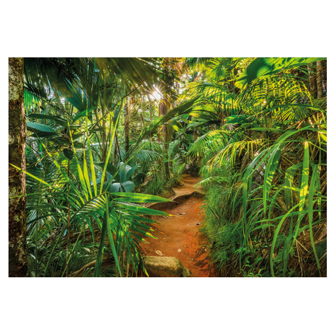 Χαρτί φωτογραφία ταπετσαρία - Μονοπάτι της ζούγκλας - Μέγεθος 368 x 254 cm