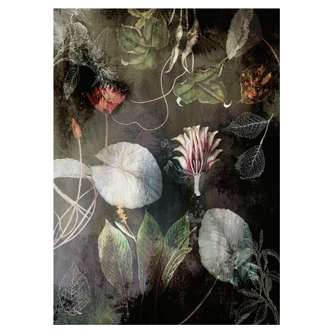 Μη υφασμένη ταπετσαρία φωτογραφιών - Νυχτερινά λουλούδια - Μέγεθος 200 x 280 cm