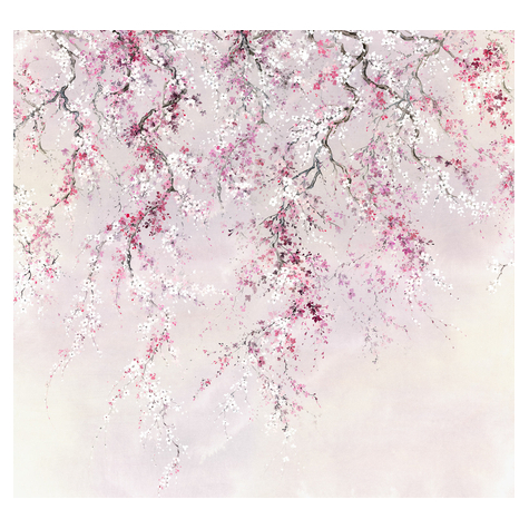 Μη υφασμένη ταπετσαρία φωτογραφιών - άνθη κερασιάς - μέγεθος 300 x 280 cm