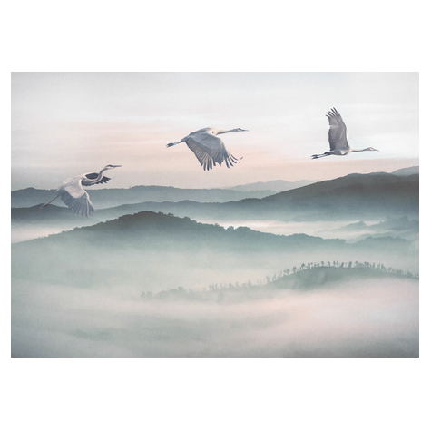 Μη υφασμένη ταπετσαρία φωτογραφιών - Mystic Cranes - μέγεθος 400 x 280 cm