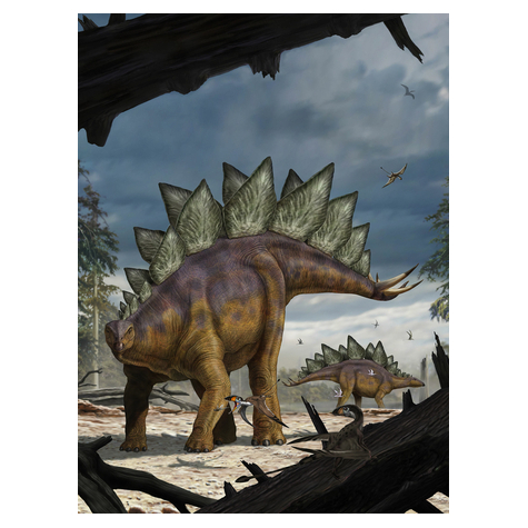 Μη υφασμένη ταπετσαρία φωτογραφιών - Στεγόσαυρος - μέγεθος 184 x 248 cm