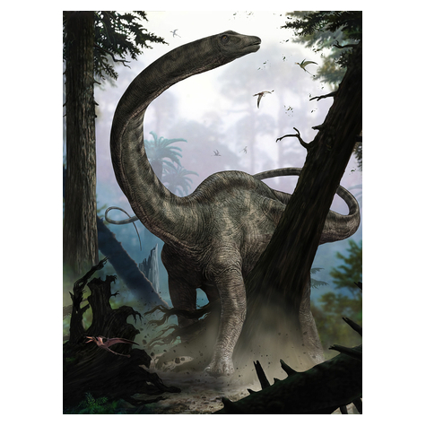 Μη υφασμένη ταπετσαρία φωτογραφιών - Rebbachisaurus - μέγεθος 184 x 248 cm