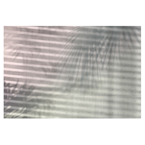 Μη υφασμένη ταπετσαρία φωτογραφιών - Σκιές - Μέγεθος 368 x 248 cm