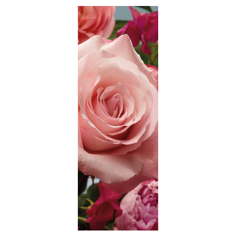 Μη υφασμένη ταπετσαρία φωτογραφιών - Άρωμα τριαντάφυλλου - Μέγεθος 100 x 280 cm