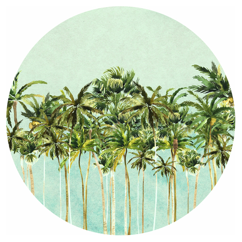 Αυτοκόλλητη Μη υφασμένη ταπετσαρία φωτογραφιών/τατουάζ τοίχου - Coconut Trees - μέγεθος 125 x 125 cm
