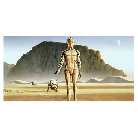 Μη υφασμένη ταπετσαρία φωτογραφιών - Star Wars Classic RMQ Droids - μέγεθος 500 x 250 cm