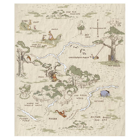 Μη υφασμένη ταπετσαρία φωτογραφιών - Winnie the Pooh Map - Μέγεθος 200 x 240 cm