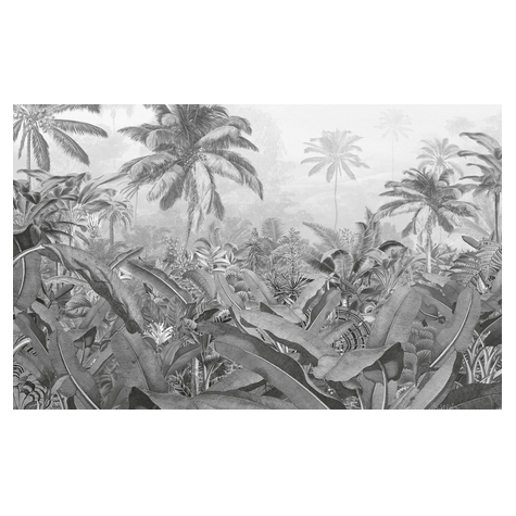 Μη υφασμένη ταπετσαρία φωτογραφιών - Αμαζονία Μαύρο και Λευκό - Μέγεθος 400 x 250 cm