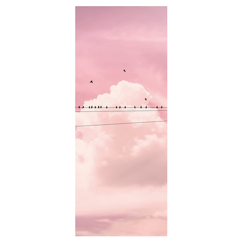 Μη υφασμένη ταπετσαρία φωτογραφιών - Πίνακας σύρματος σύννεφων - Μέγεθος 100 x 250 cm