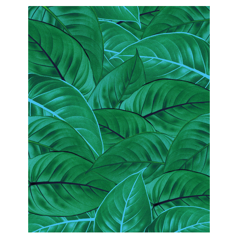Μη υφασμένη ταπετσαρία φωτογραφιών - Φύλλα ζούγκλας - μέγεθος 200 x 250 cm