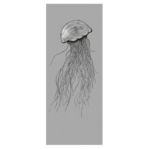 Μη υφασμένη ταπετσαρία φωτογραφιών - Jellyfish Panel - μέγεθος 100 x 250 cm
