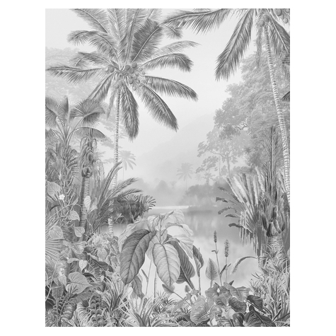 Μη υφασμένη ταπετσαρία φωτογραφιών - Lac Tropical Black & White - Μέγεθος 200 x 270 cm