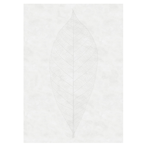 Μη υφασμένη ταπετσαρία φωτογραφιών - Decent Leaf - Μέγεθος 200 x 280 cm