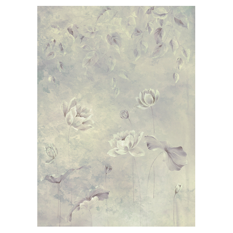 Μη υφασμένη ταπετσαρία φωτογραφιών - Water Lily - μέγεθος 200 x 280 cm