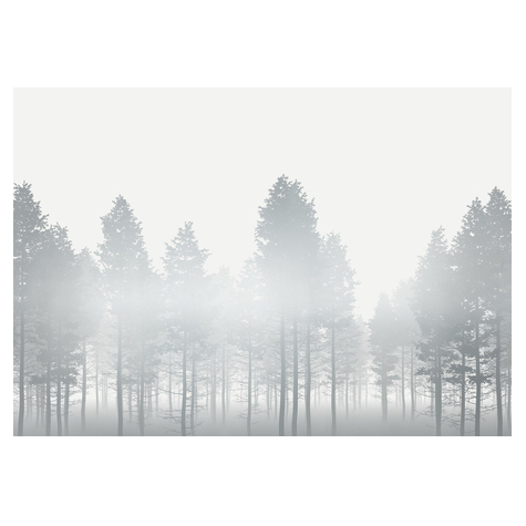 Μη υφασμένη ταπετσαρία φωτογραφιών - Silver Haze - Μέγεθος 400 x 280 cm