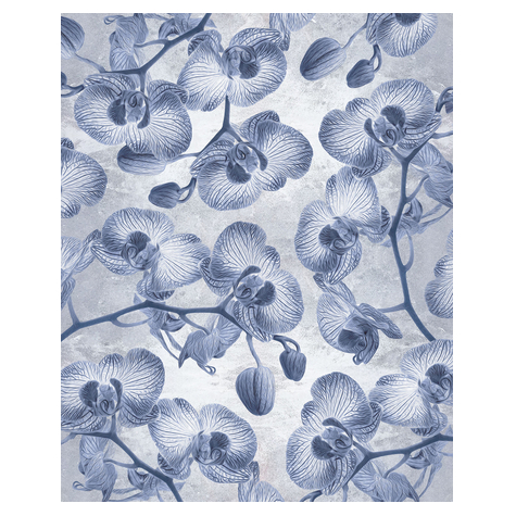 Μη υφασμένη ταπετσαρία φωτογραφιών - Orchidée - μέγεθος 200 x 250 cm