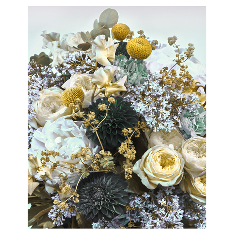 Μη υφασμένη ταπετσαρία φωτογραφιών - Gentle Bloom - μέγεθος 200 x 250 cm
