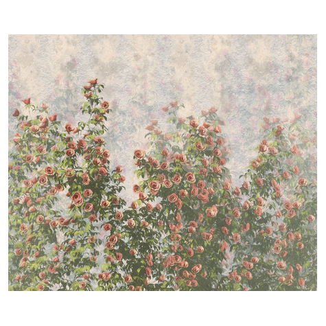 Μη υφασμένη ταπετσαρία φωτογραφιών - Wall Roses - Μέγεθος 300 x 250 cm