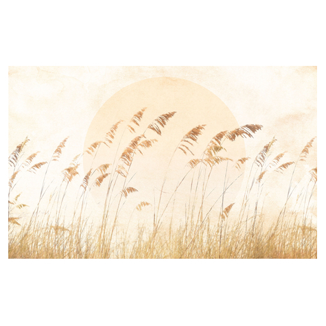 Μη υφασμένη ταπετσαρία φωτογραφιών - Dune Grass - Μέγεθος 400 x 250 cm