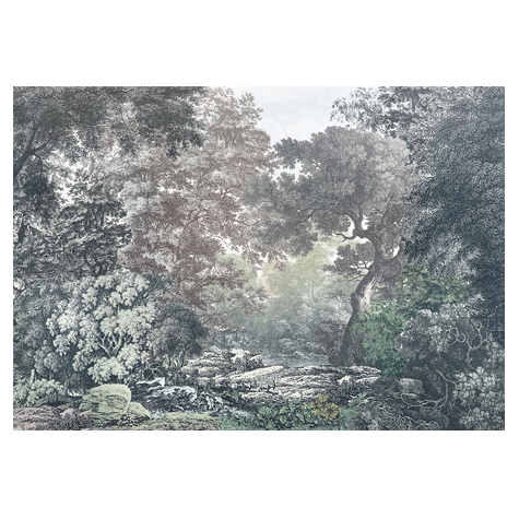 Μη υφασμένη ταπετσαρία φωτογραφιών - Παραμυθένιο δάσος - μέγεθος 400 x 280 cm