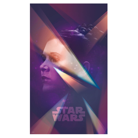 Μη υφασμένη ταπετσαρία φωτογραφιών - Star Wars Female Leia - μέγεθος 120 x 200 cm