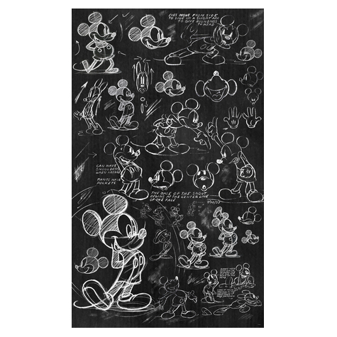 Μη υφασμένη ταπετσαρία φωτογραφιών - Mickey Chalkboard - μέγεθος 120 x 200 cm