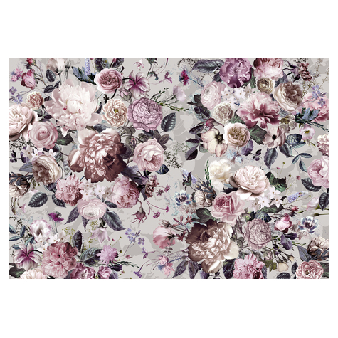 Μη υφασμένη ταπετσαρία φωτογραφιών - Lovely Blossoms - Μέγεθος 350 x 250 cm