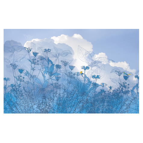 Μη υφασμένη ταπετσαρία φωτογραφιών - Μπλε ουρανός - Μέγεθος 400 x 250 cm
