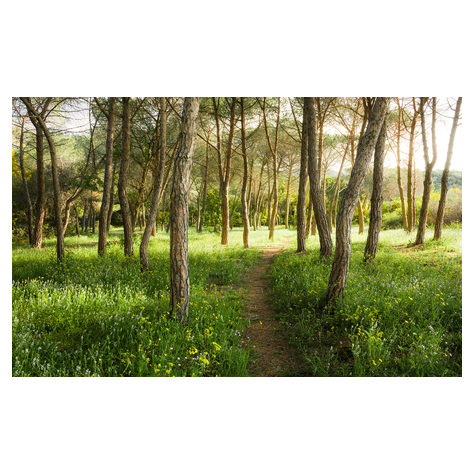Μη υφασμένη ταπετσαρία φωτογραφιών - Μαγεμένο δάσος λουλουδιών - μέγεθος 450 x 280 cm