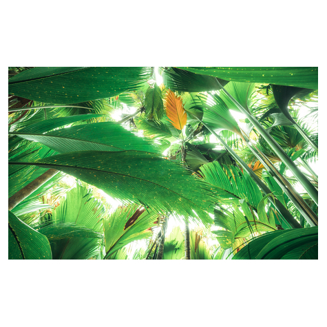 Μη υφασμένη ταπετσαρία φωτογραφιών - Jungle Roof II - μέγεθος 450 x 280 cm