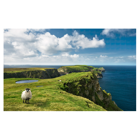 Μη υφασμένη ταπετσαρία φωτογραφιών - Πράσινη Ιρλανδία - Μέγεθος 450 x 280 cm
