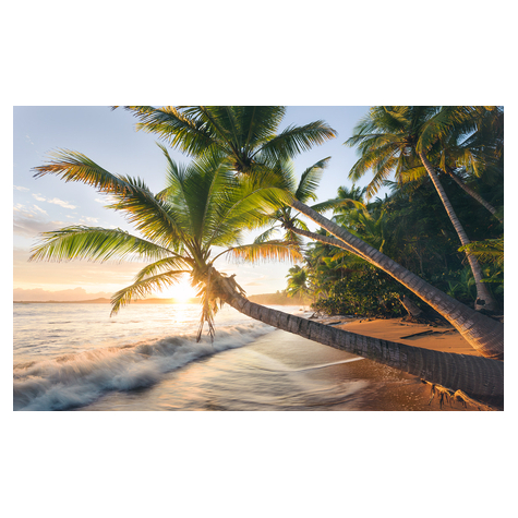 Μη υφασμένη ταπετσαρία φωτογραφιών - Beach Secret - μέγεθος 450 x 280 cm