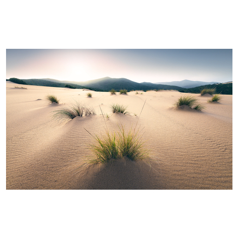 Μη υφασμένη ταπετσαρία φωτογραφιών - Vivid Dunes - Μέγεθος 450 x 280 cm