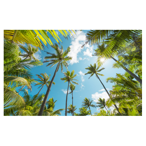 Μη υφασμένη ταπετσαρία φωτογραφιών - Coconut Heaven - μέγεθος 450 x 280 cm