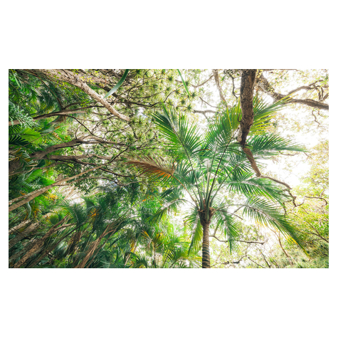 Μη υφασμένη ταπετσαρία φωτογραφιών - Touch the Jungle - μέγεθος 450 x 280 cm