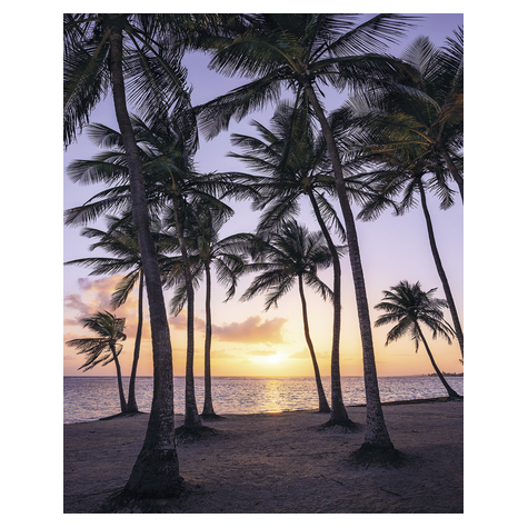 Μη υφασμένη ταπετσαρία φωτογραφιών - Φοινικόδεντρα στην παραλία - Μέγεθος 200 x 250 cm
