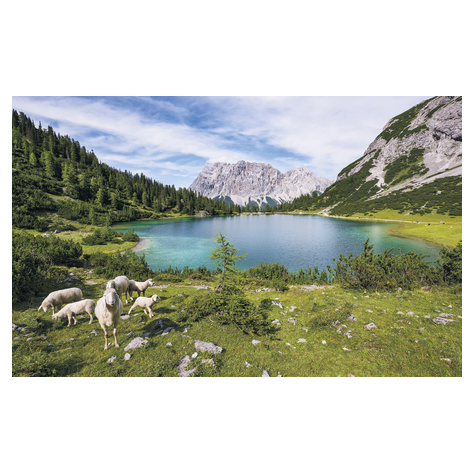 Μη υφασμένη ταπετσαρία φωτογραφιών - Paradise Lake - μέγεθος 400 x 250 cm