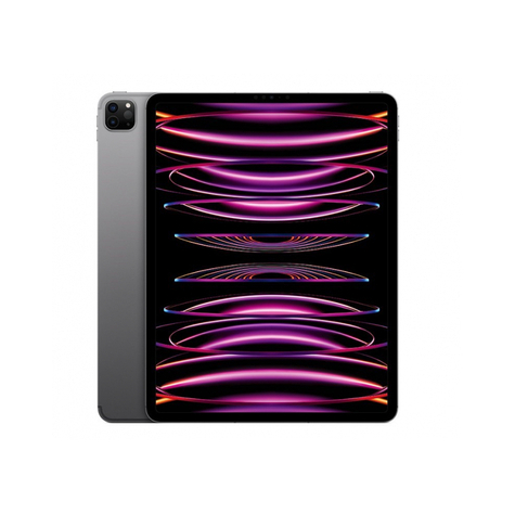 Apple iPad Pro 256GB 12.9 Wi-Fi Space Gray 6ης γενιάς MNXR3FD/A
