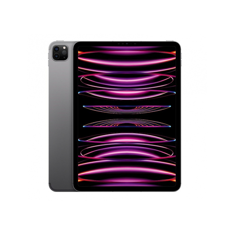 Apple iPad Pro 128GB 11 Wi-Fi Space Gray 4ης γενιάς MNXD3FD/A