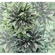Μη υφασμένη ταπετσαρία φωτογραφιών - Emerald Flowers - Μέγεθος 300 x 280 cm