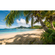 Μη υφασμένη ταπετσαρία φωτογραφιών - Beach oasis South Seas - μέγεθος 450 x 280 cm